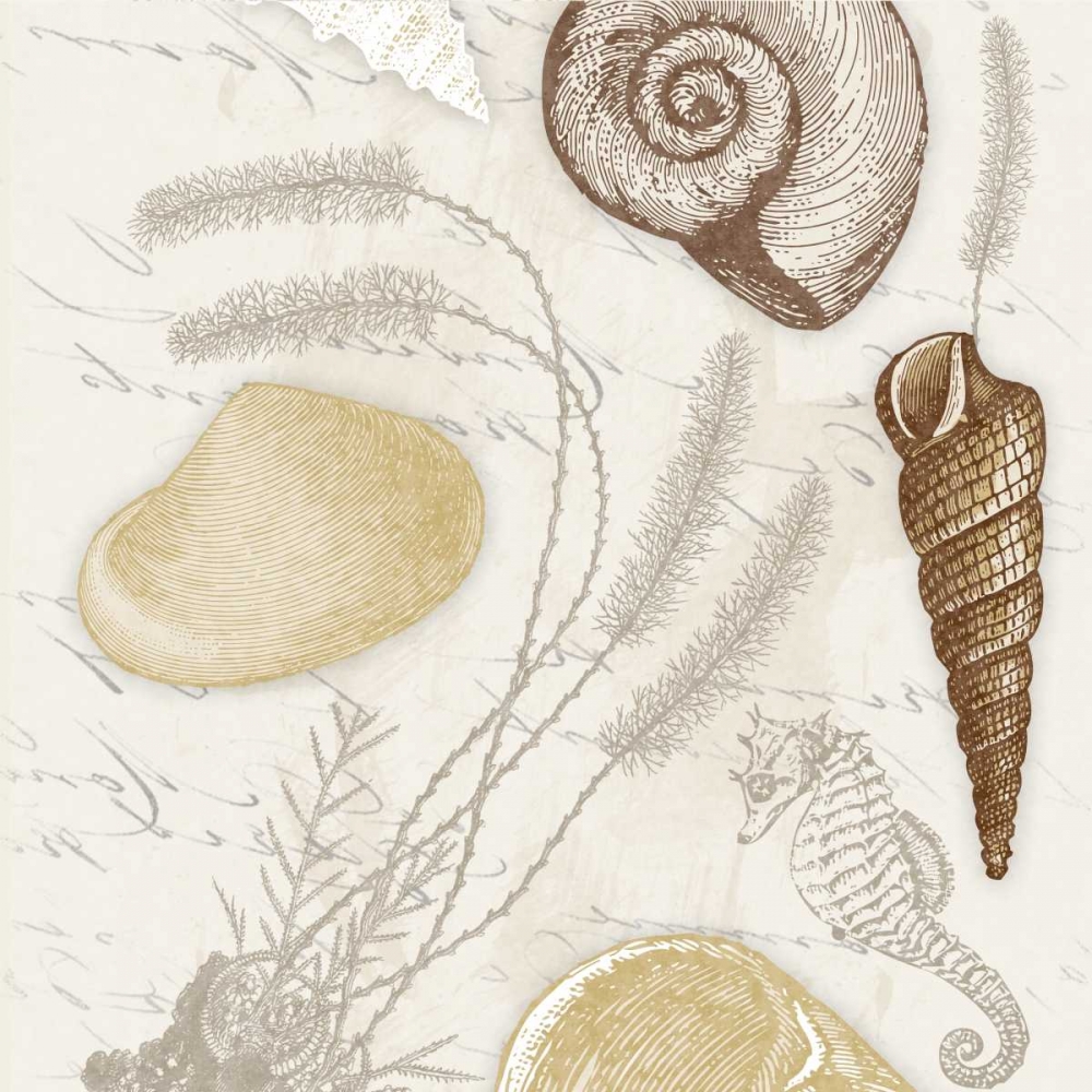 Shell 2 art print by Jace Grey for $57.95 CAD