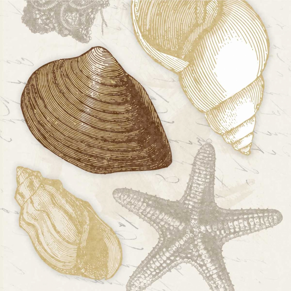 Shells 3 art print by Jace Grey for $57.95 CAD