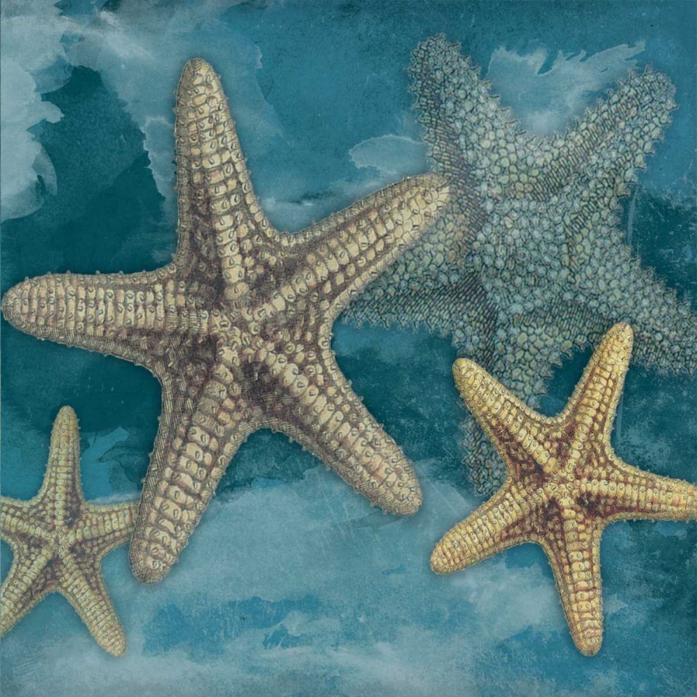 Starfish art print by Jace Grey for $57.95 CAD