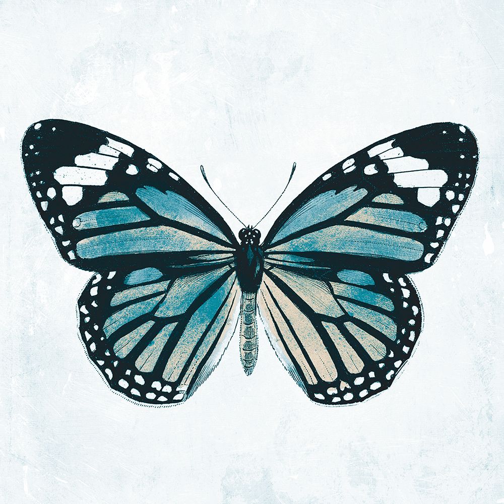 Butterfly 1 art print by Jace Grey for $57.95 CAD