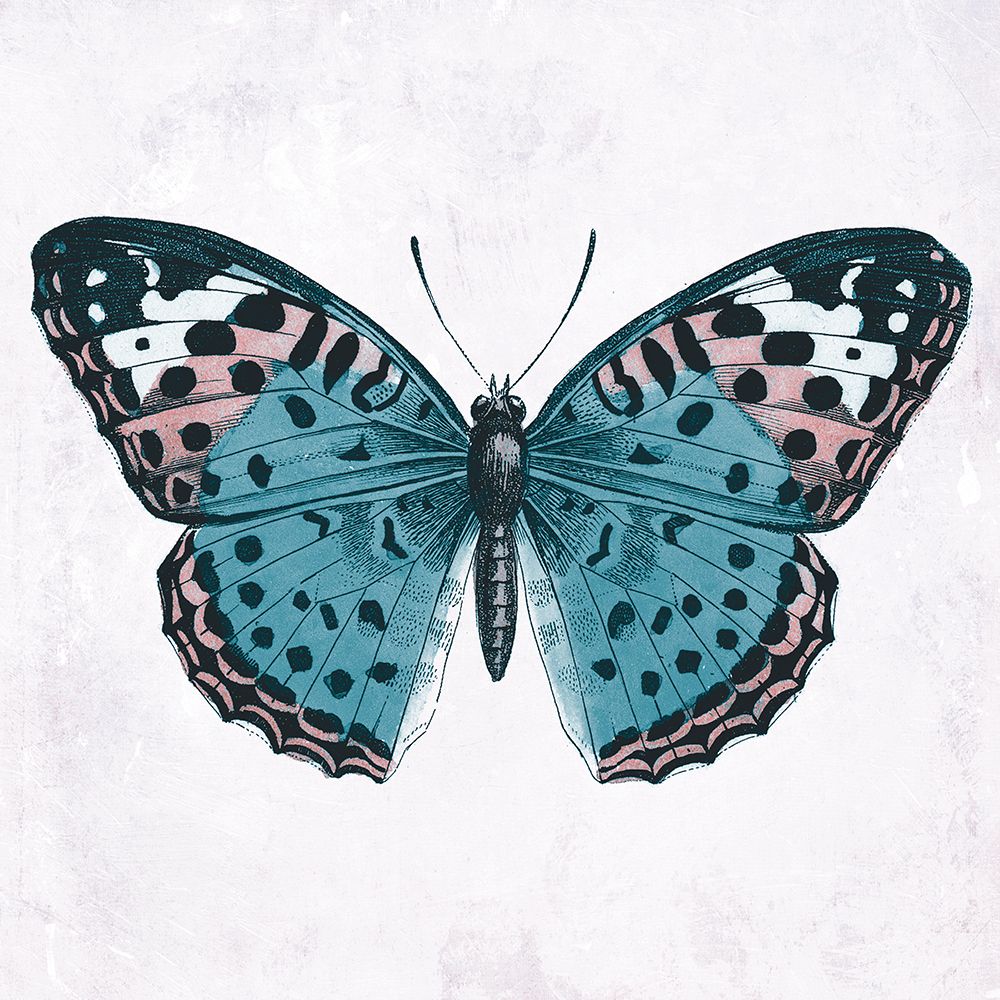 Butterfly 2 art print by Jace Grey for $57.95 CAD