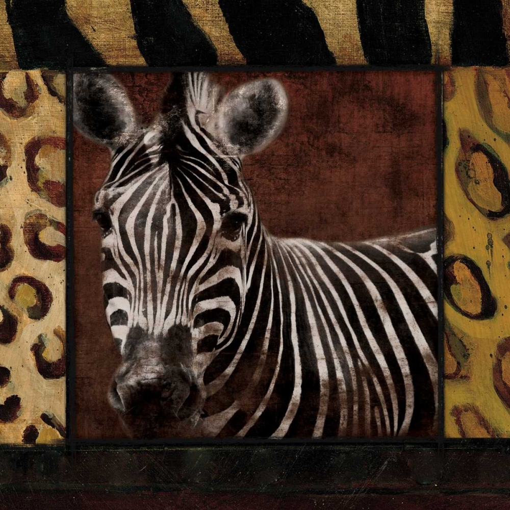 Zebra No Circles art print by Jace Grey for $57.95 CAD