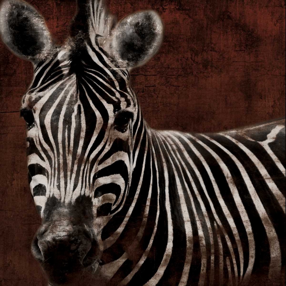 Zebra art print by Jace Grey for $57.95 CAD