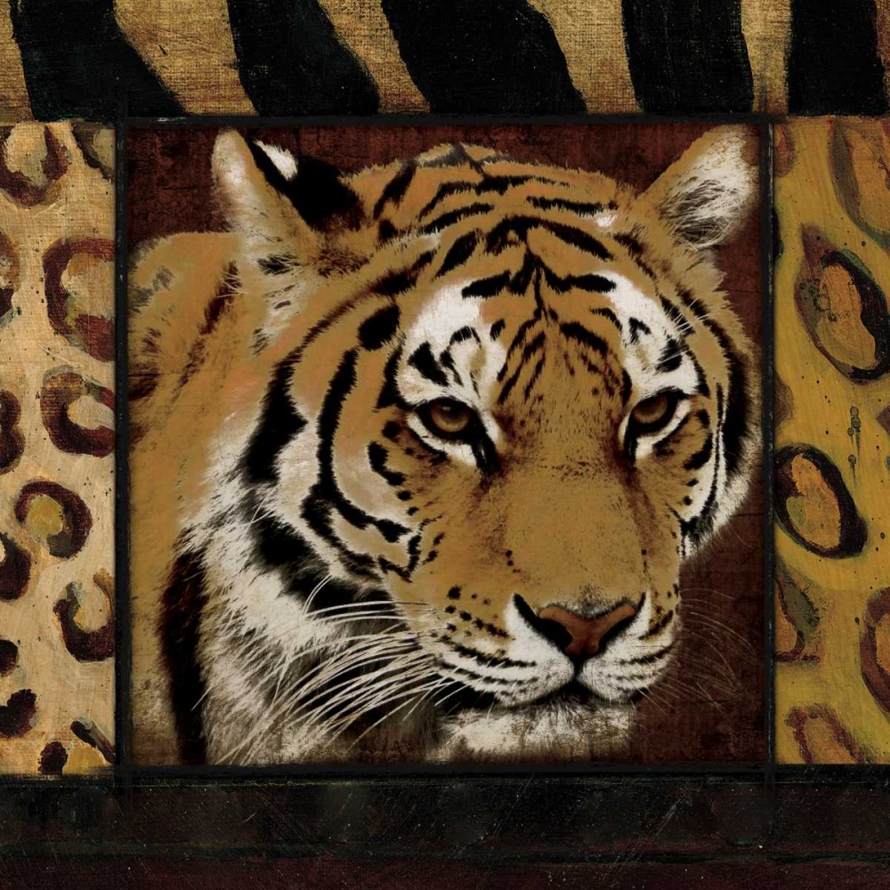 Tiger No Circles art print by Jace Grey for $57.95 CAD