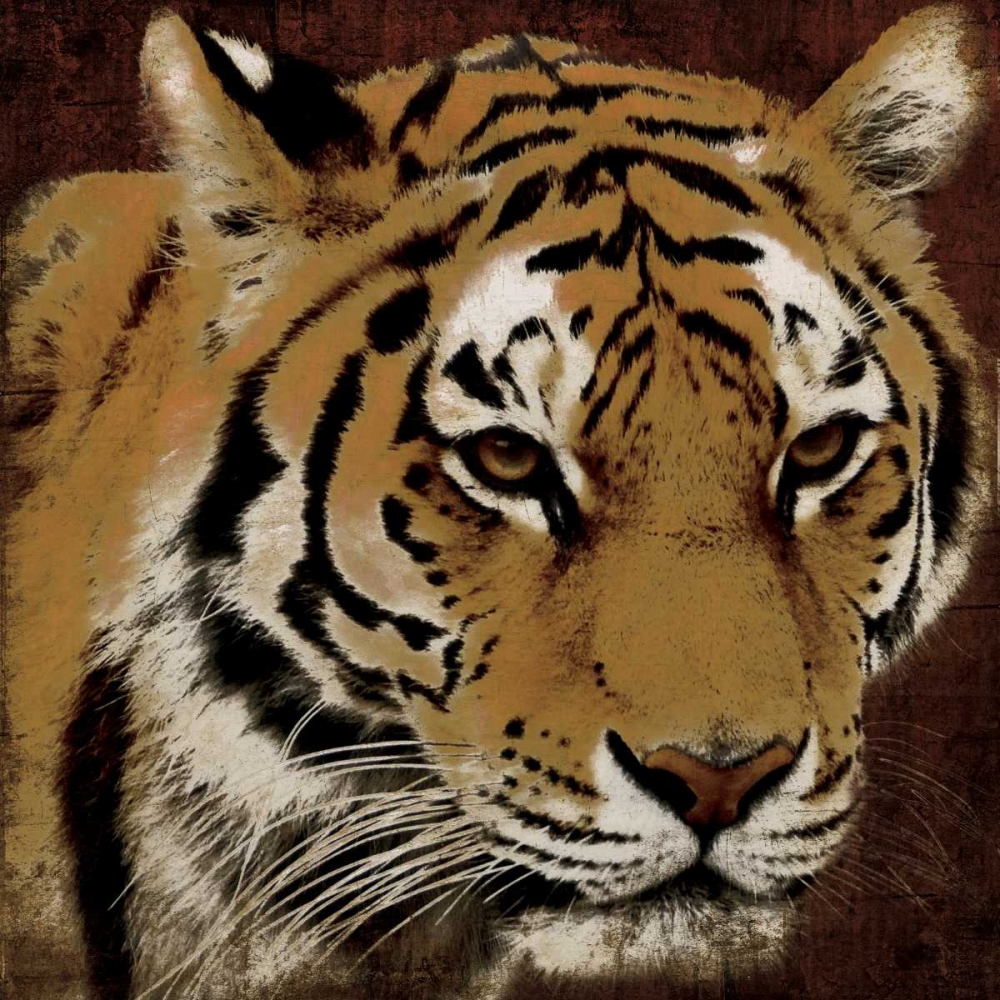 Tiger art print by Jace Grey for $57.95 CAD