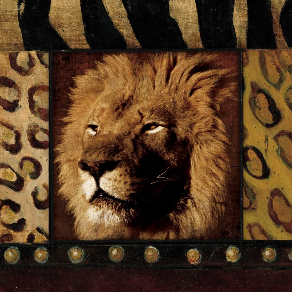 Lion Bordered art print by Jace Grey for $57.95 CAD
