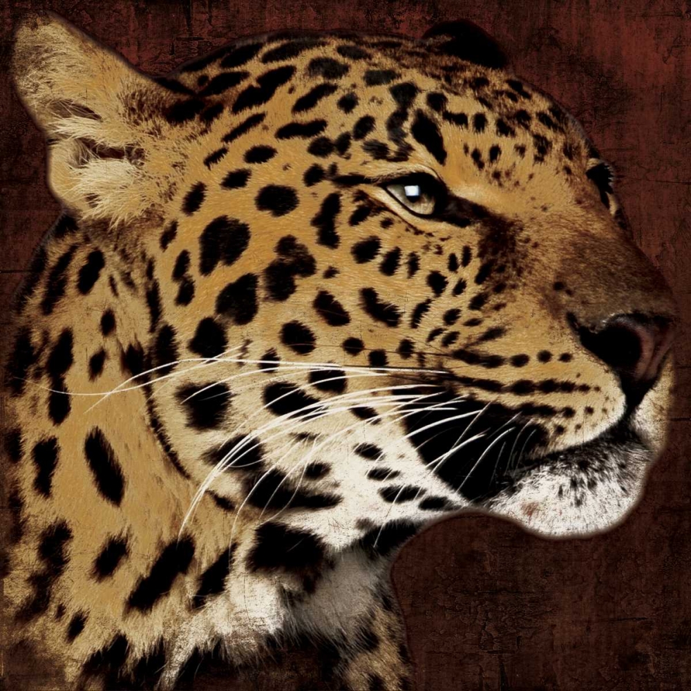 Leopard art print by Jace Grey for $57.95 CAD
