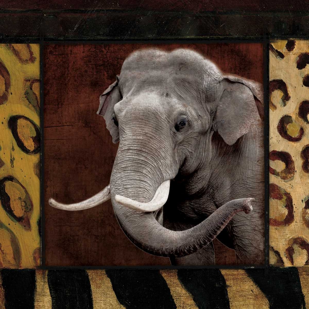 Elephant No Circles art print by Jace Grey for $57.95 CAD