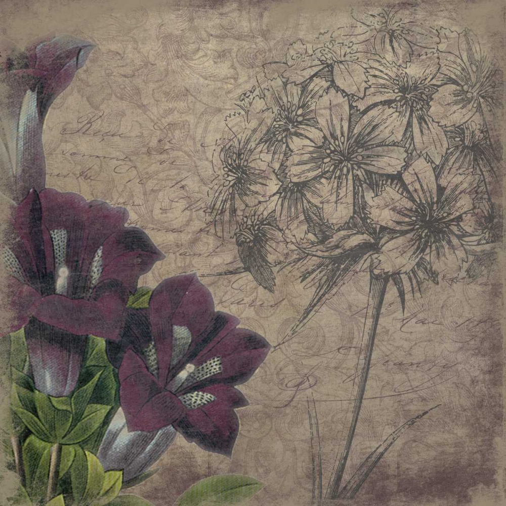 Floral outline1 art print by Jace Grey for $57.95 CAD