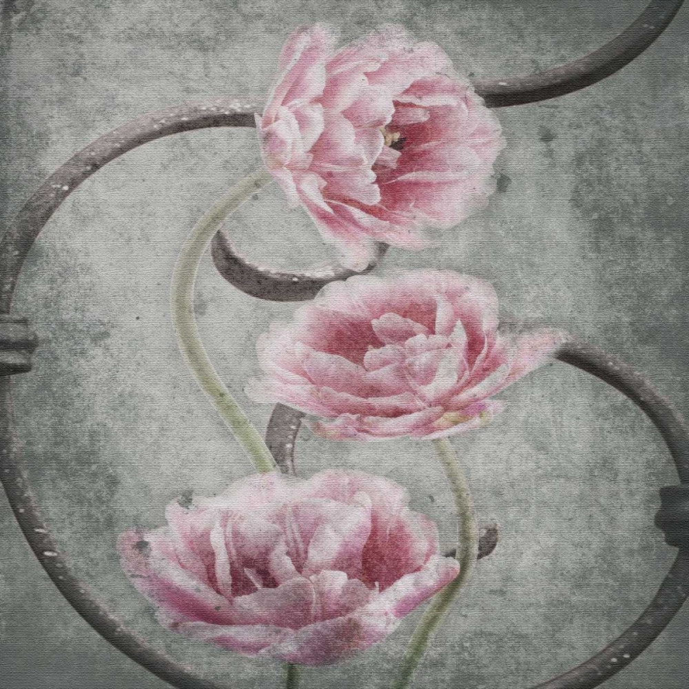 Flowers art print by Jace Grey for $57.95 CAD