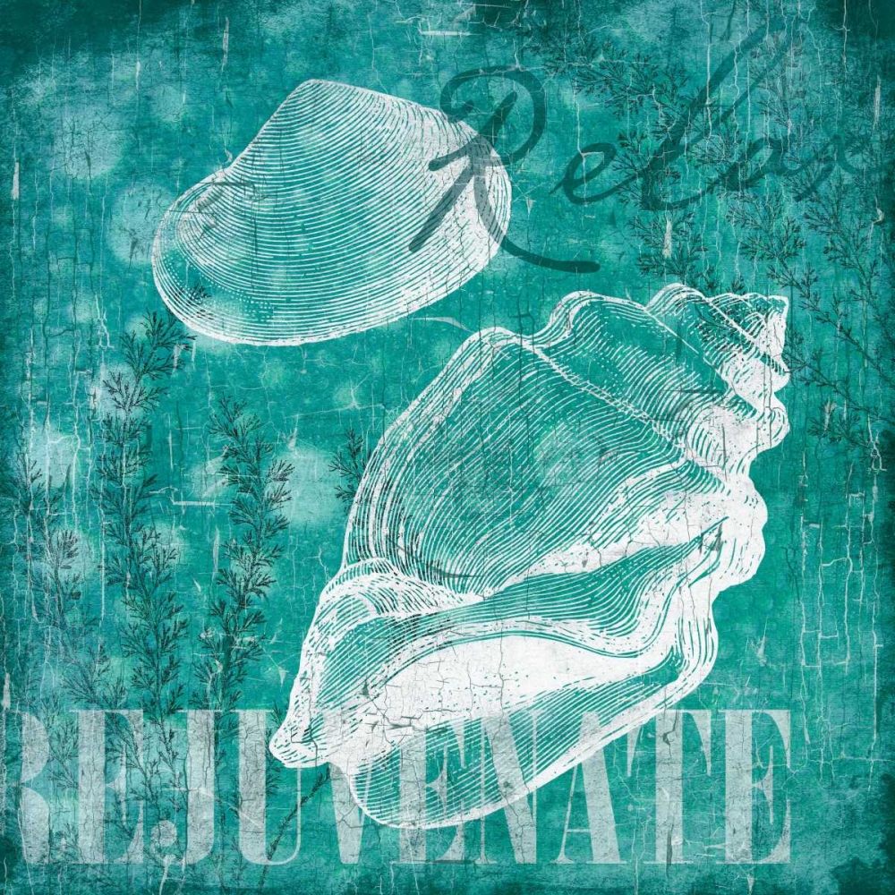 Shell Bubbles I in Teal art print by Jace Grey for $57.95 CAD