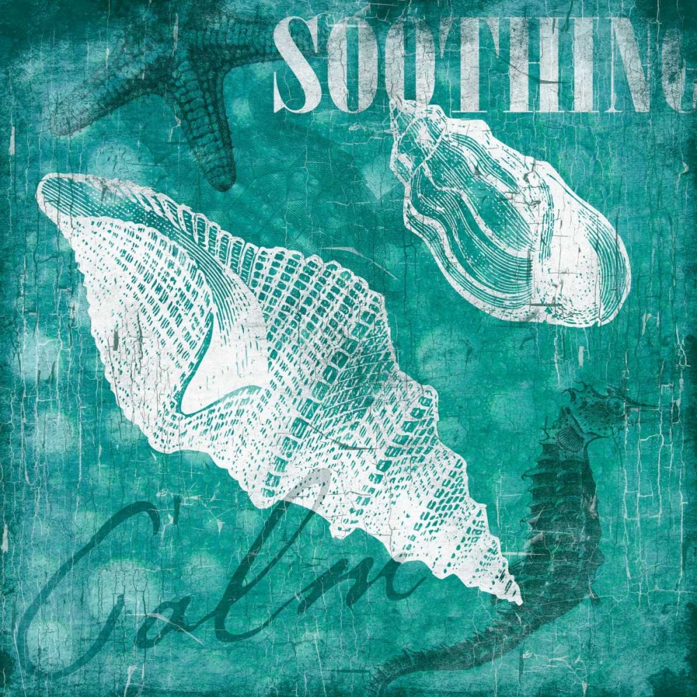 Shell Bubbles II in Teal art print by Jace Grey for $57.95 CAD