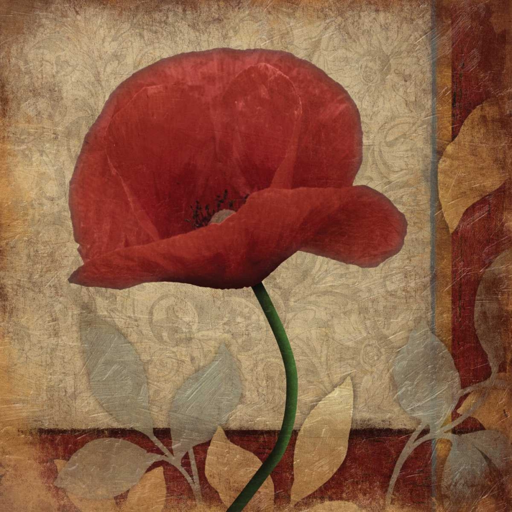 Poppies Patch art print by Jace Grey for $57.95 CAD