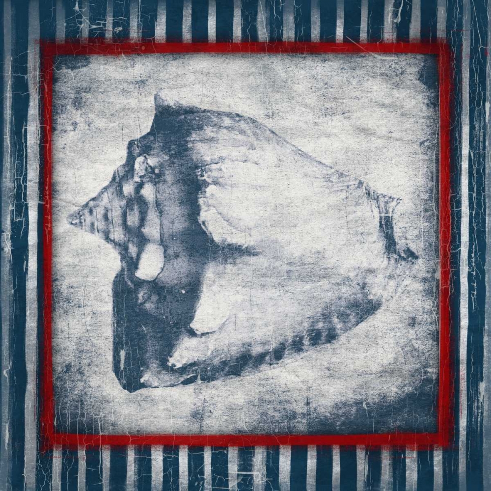 Coastal Shells art print by Jace Grey for $57.95 CAD