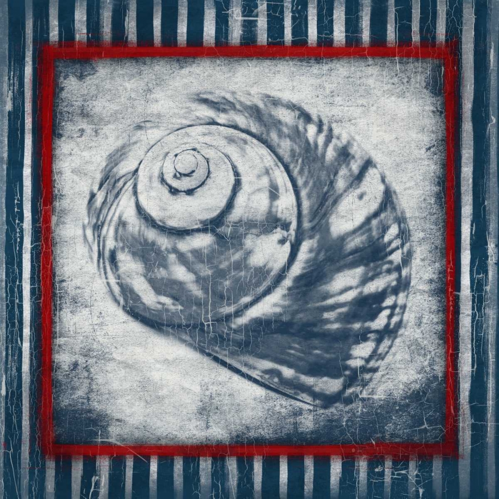 Coastal Shells 2 art print by Jace Grey for $57.95 CAD