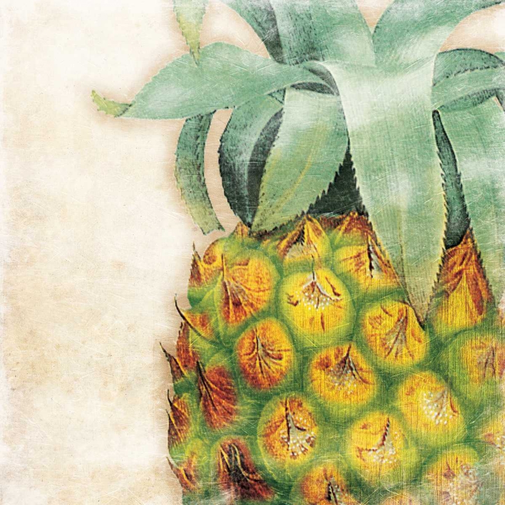 Tropical Pineapple art print by Jace Grey for $57.95 CAD