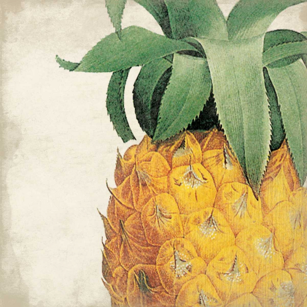 Pineapple art print by Jace Grey for $57.95 CAD