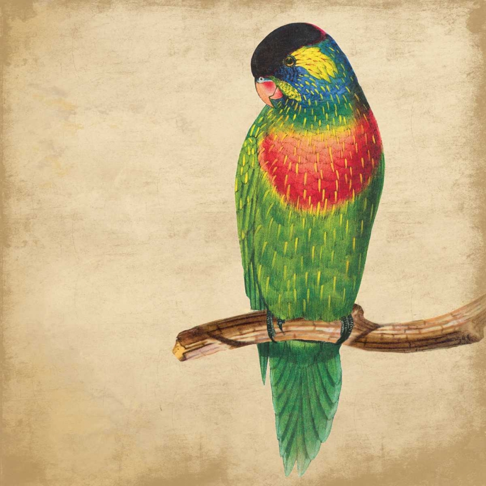 Tropical Bird art print by Jace Grey for $57.95 CAD