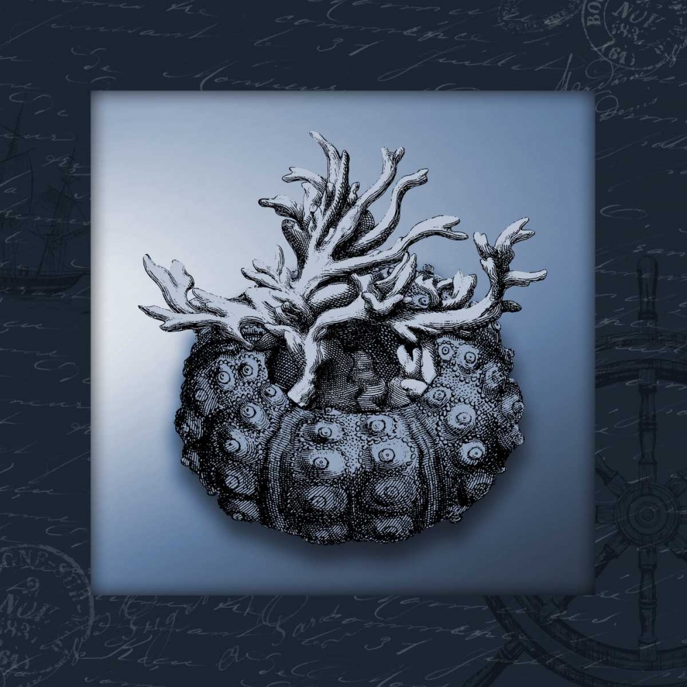 Nautical blue bordered art print by Jace Grey for $57.95 CAD