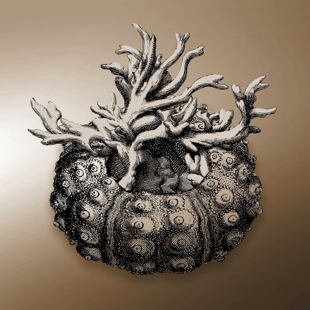 Nautical Sepia Mate art print by Jace Grey for $57.95 CAD