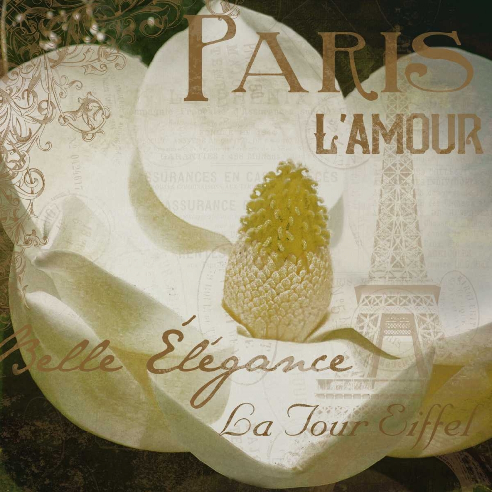 Magnolia Paris Mate art print by Jace Grey for $57.95 CAD
