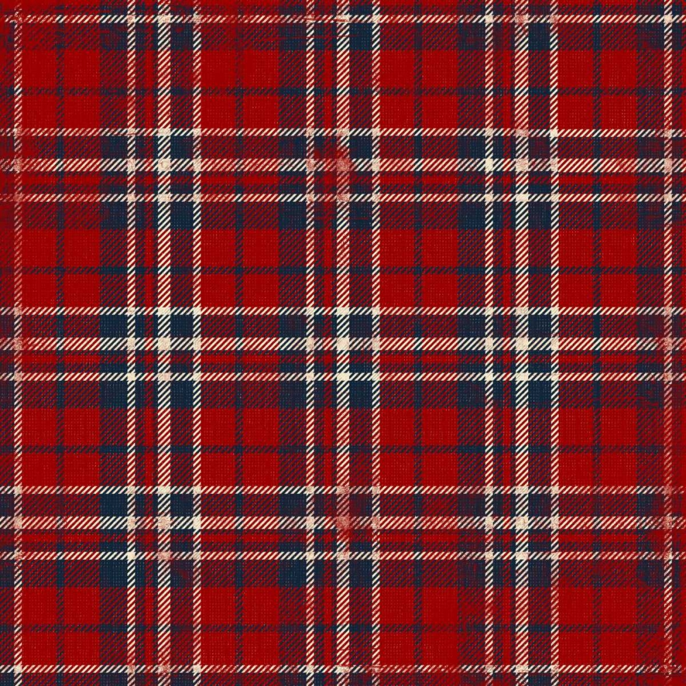 Plaid RCBC 1 art print by Jace Grey for $57.95 CAD