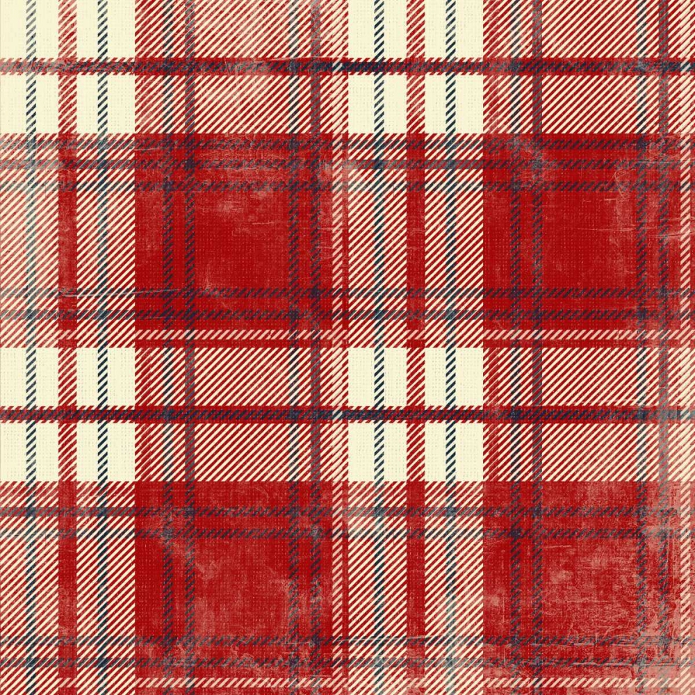 Plaid RCB art print by Jace Grey for $57.95 CAD