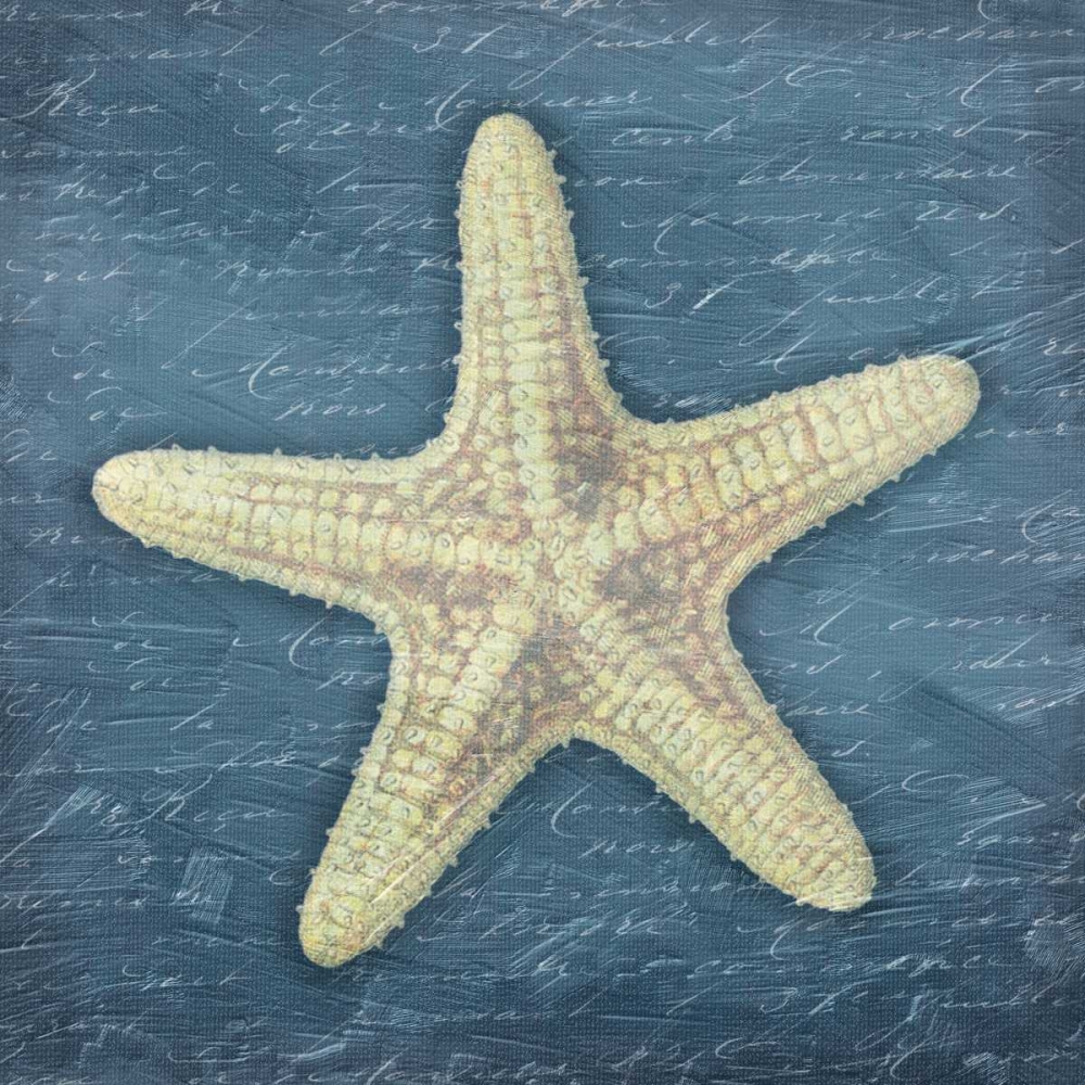 Star Fish Light Blue art print by Jace Grey for $57.95 CAD