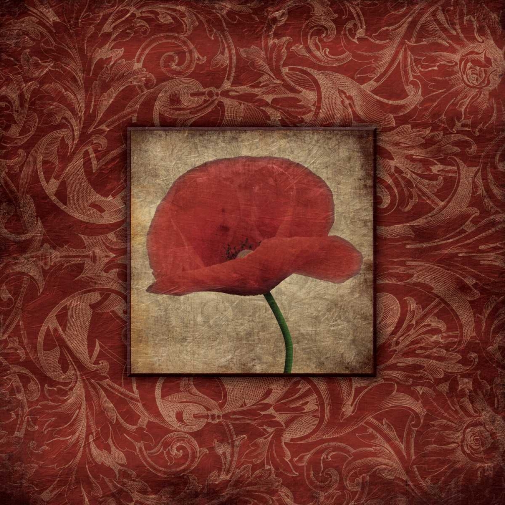 Poppie bordered art print by Jace Grey for $57.95 CAD