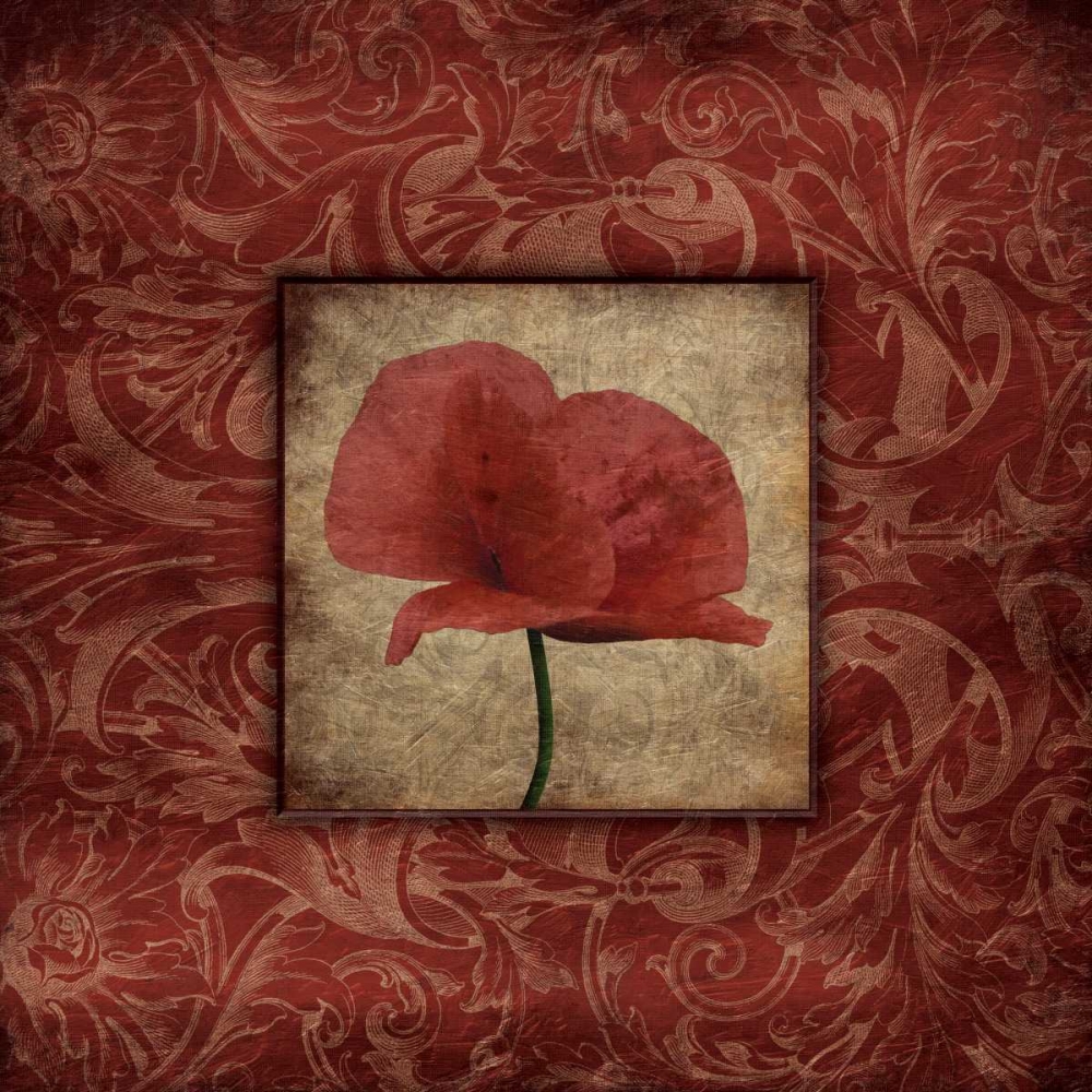 Poppie bordered mate art print by Jace Grey for $57.95 CAD