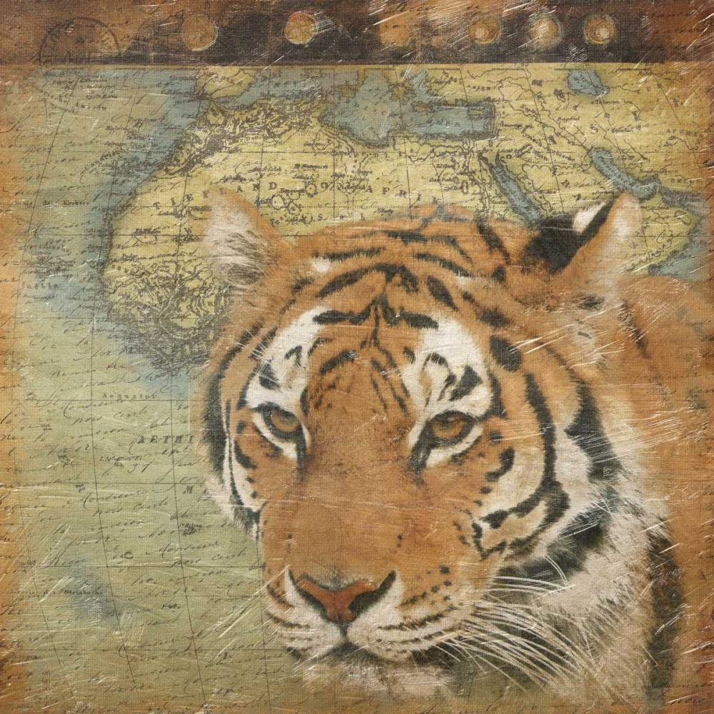 Tiger travel art print by Jace Grey for $57.95 CAD