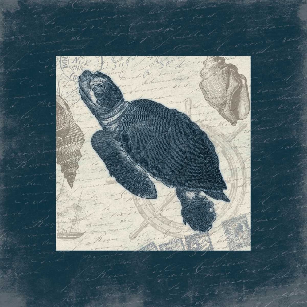 Turtle Bordered art print by Jace Grey for $57.95 CAD