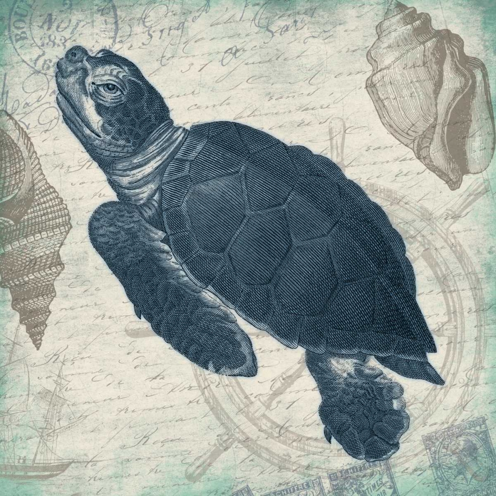Turtle art print by Jace Grey for $57.95 CAD