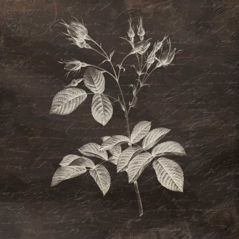 Brown Floral art print by Jace Grey for $57.95 CAD