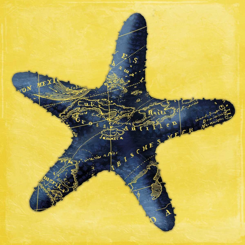 Map Starfish Y Indigo art print by Jace Grey for $57.95 CAD