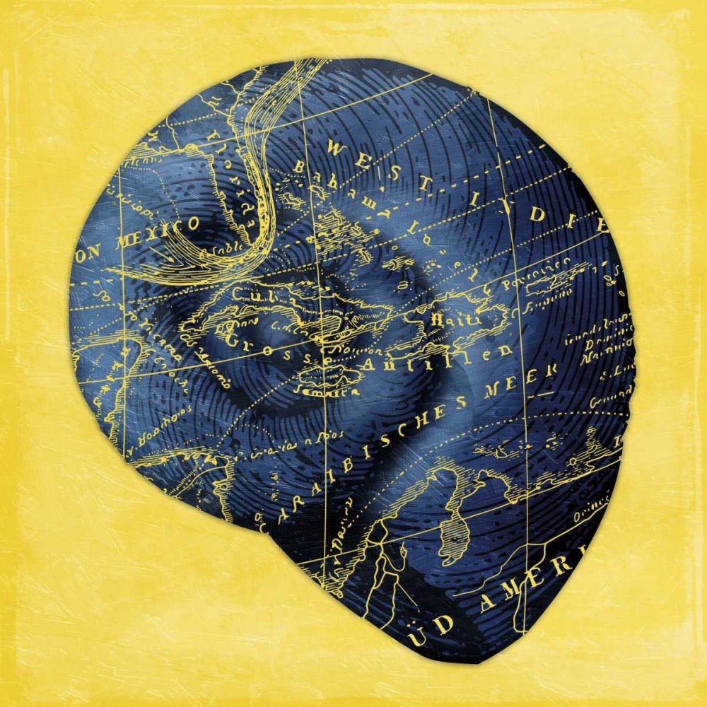 Map Shell 2 Y Indigo art print by Jace Grey for $57.95 CAD