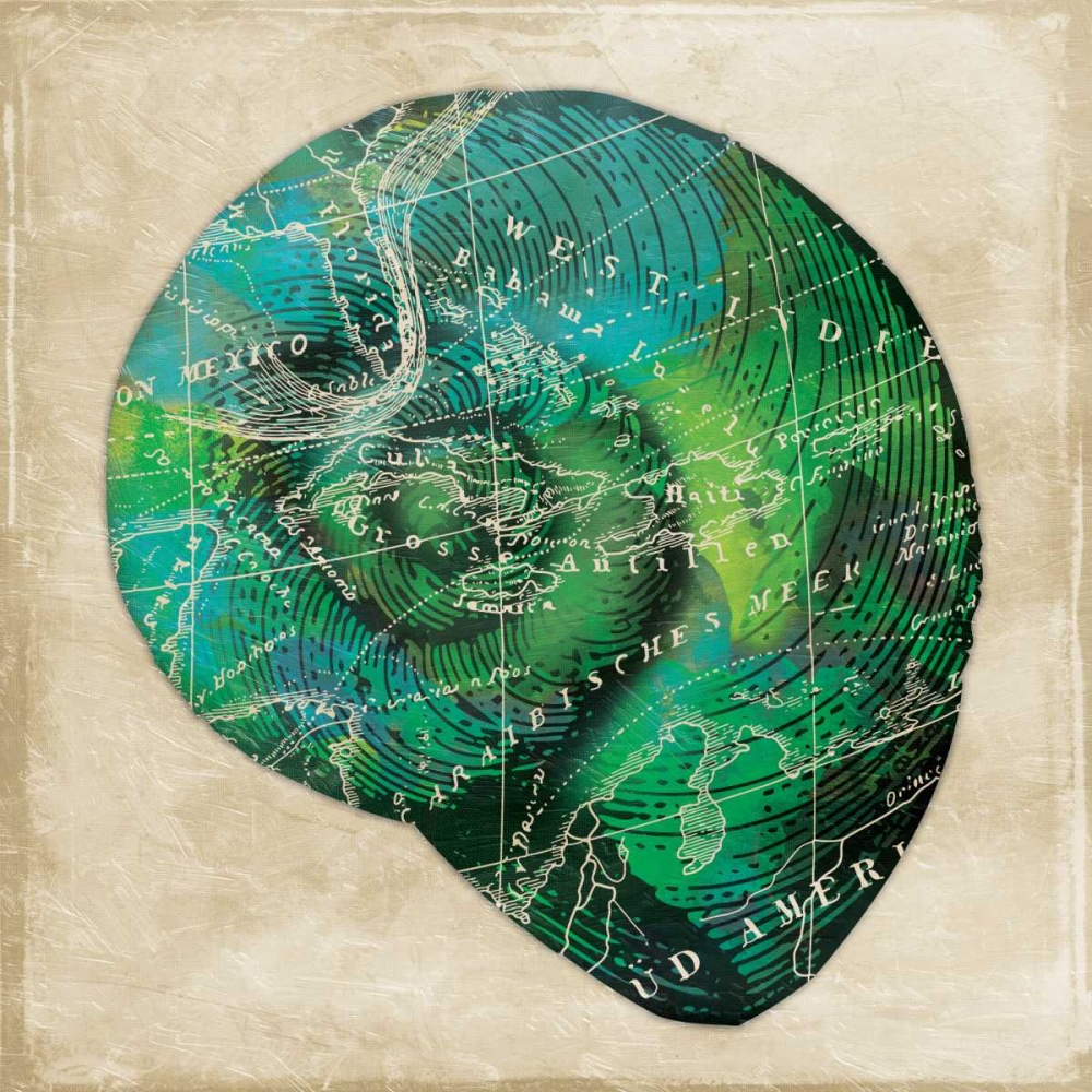 Map Shell2 art print by Jace Grey for $57.95 CAD