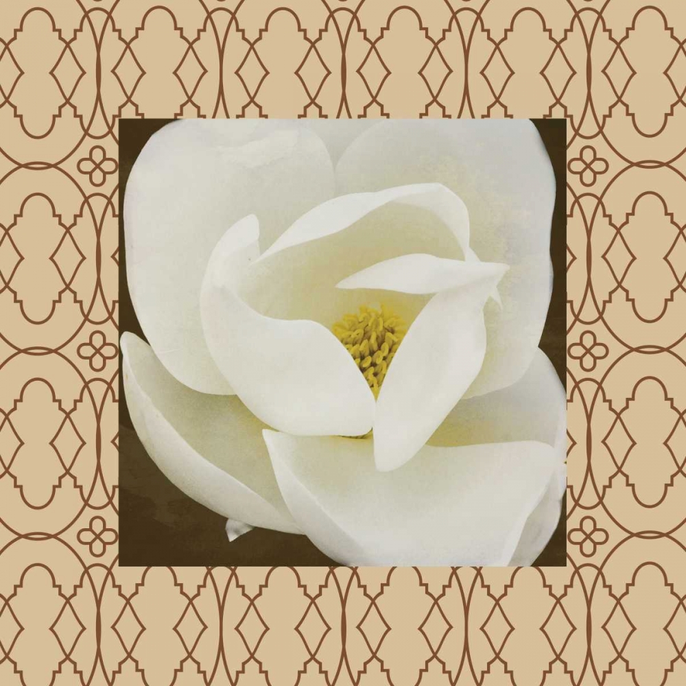 Brown floral border art print by Jace Grey for $57.95 CAD