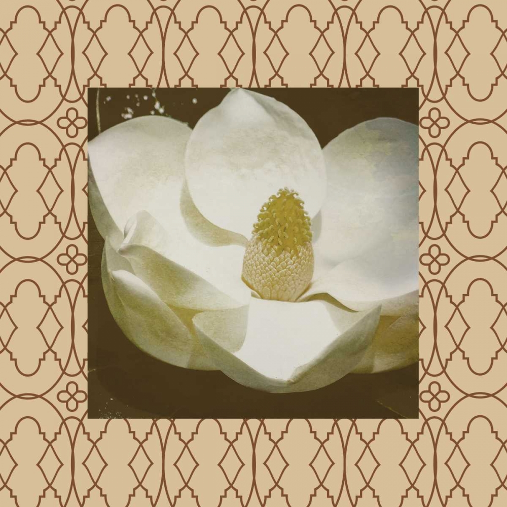 Brown floral border 2 art print by Jace Grey for $57.95 CAD