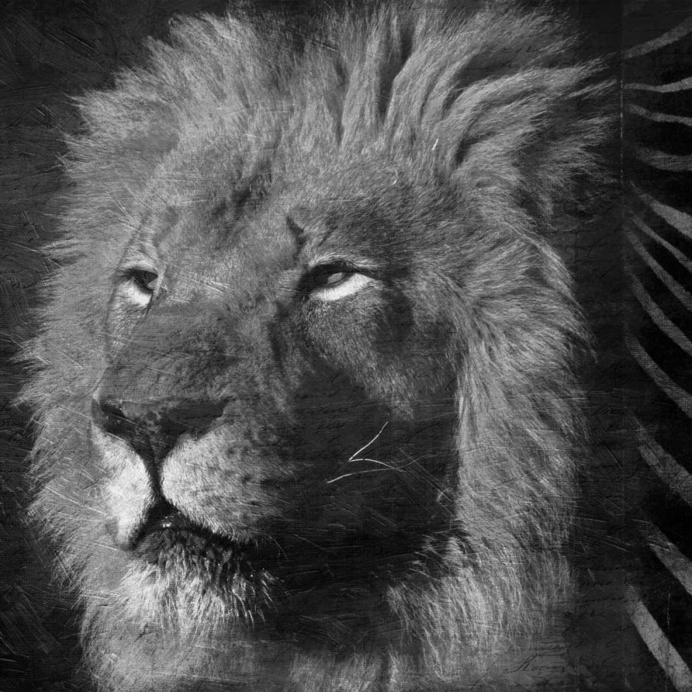 Animal Instincts Black And White art print by Jace Grey for $57.95 CAD