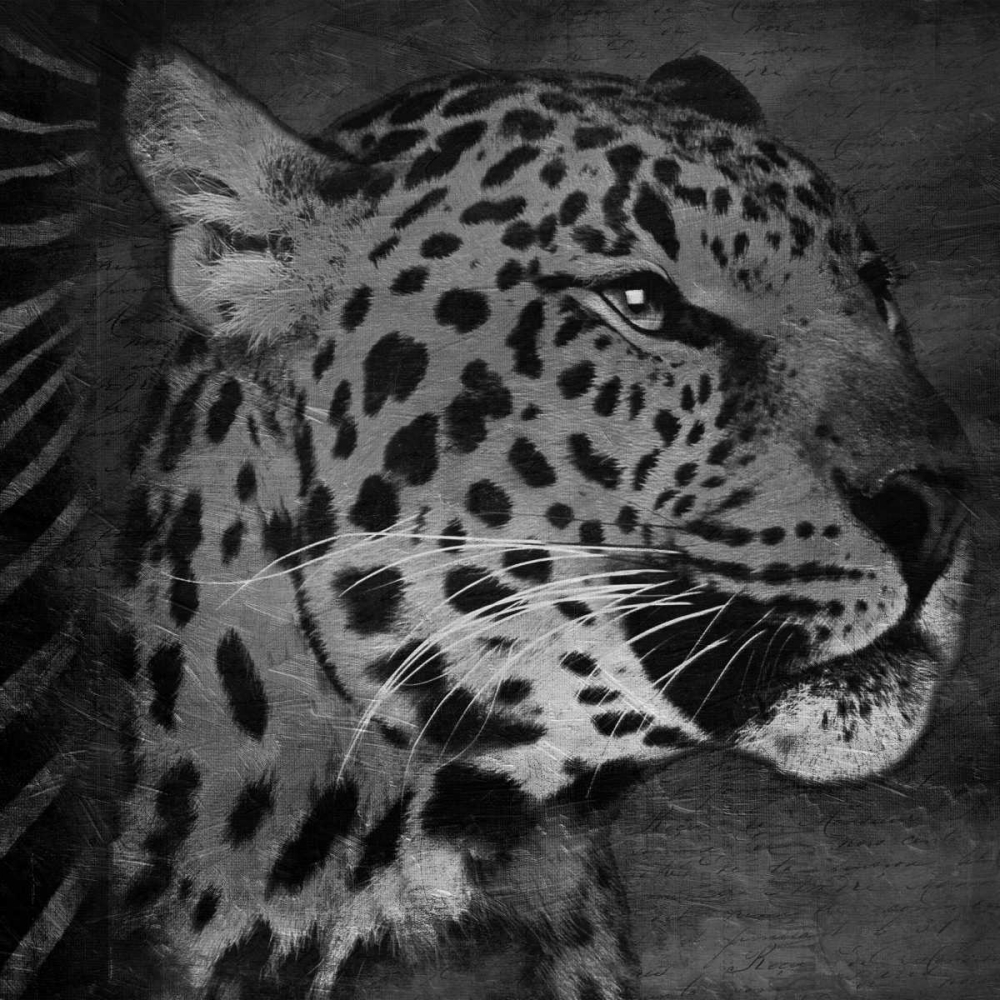Animal Instincts Black And White Mate art print by Jace Grey for $57.95 CAD