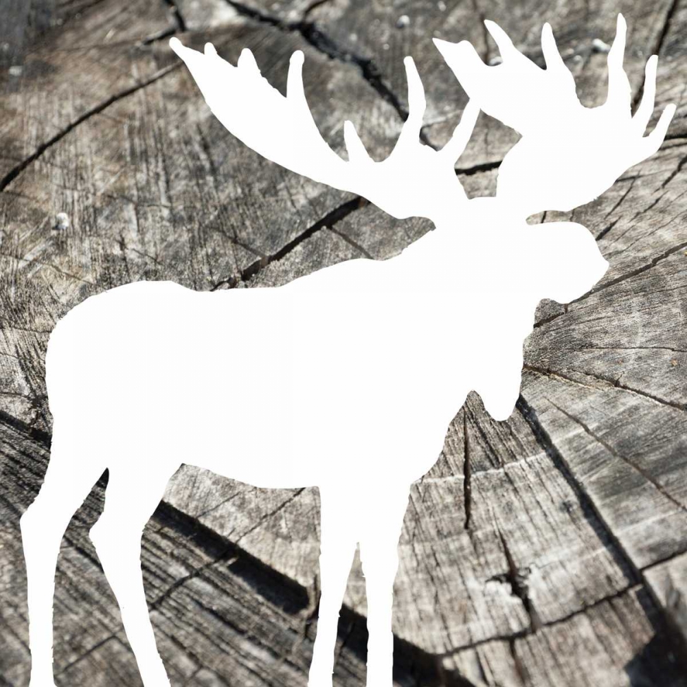 Wood Moose Reverse art print by Jace Grey for $57.95 CAD