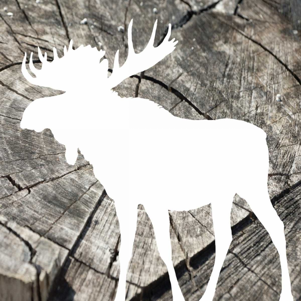 Wood Moose Reverse Mate art print by Jace Grey for $57.95 CAD