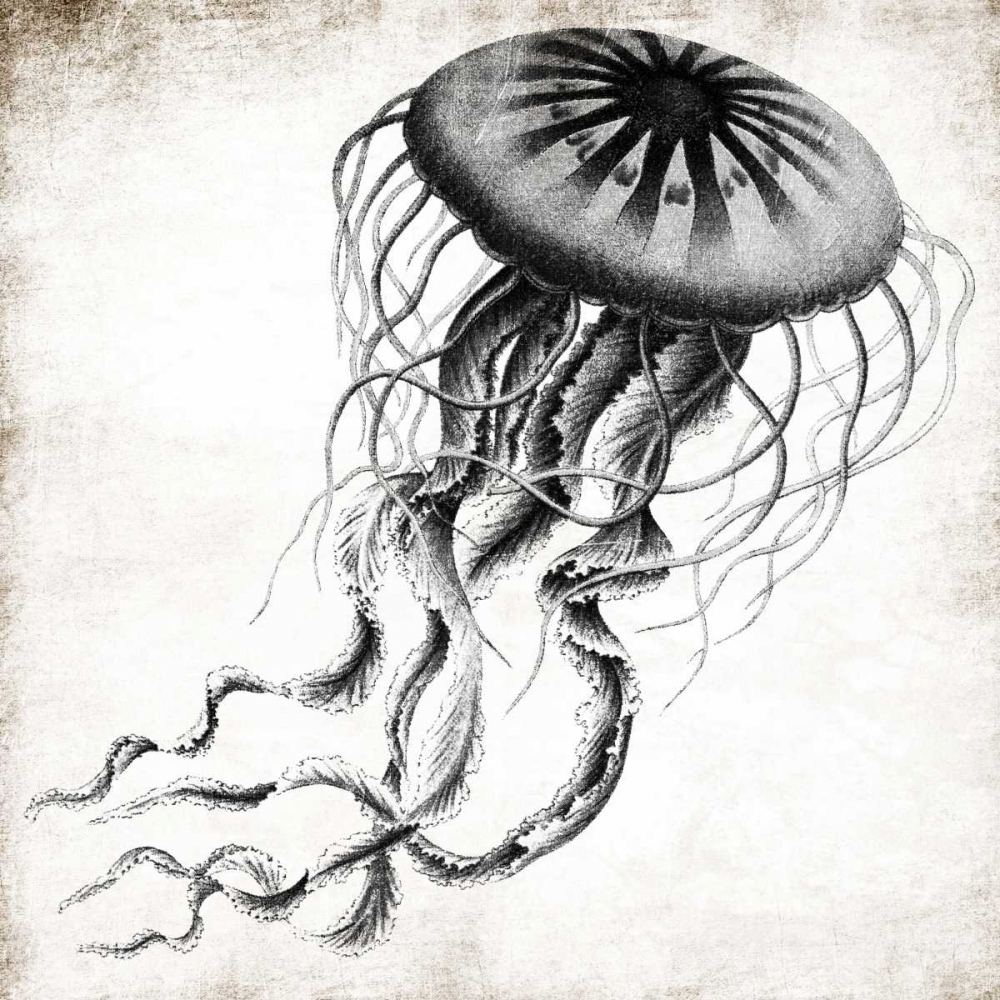 Jellyfish Ink art print by Jace Grey for $57.95 CAD