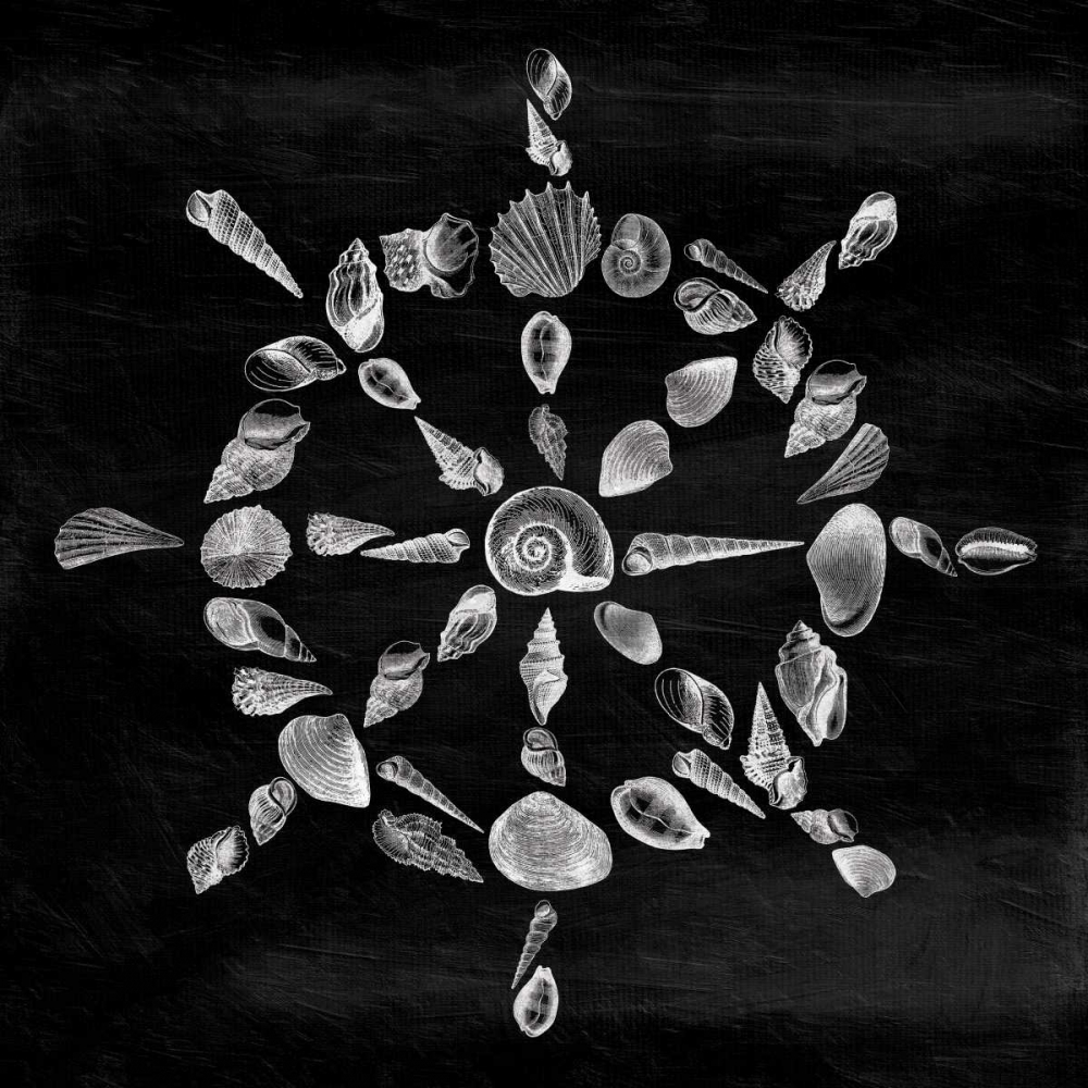 Shell Wheel art print by Jace Grey for $57.95 CAD