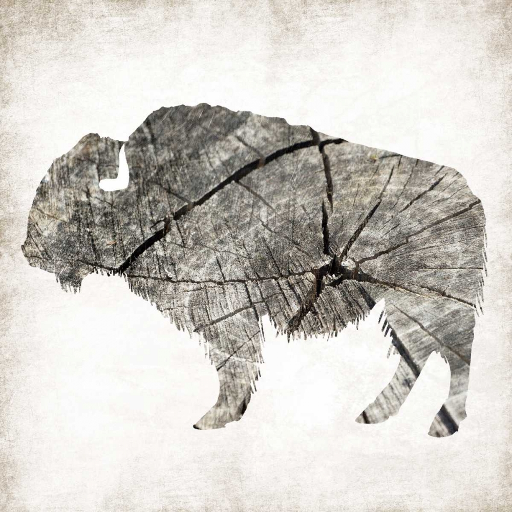 Buffalo Rings Mineral art print by Jace Grey for $57.95 CAD