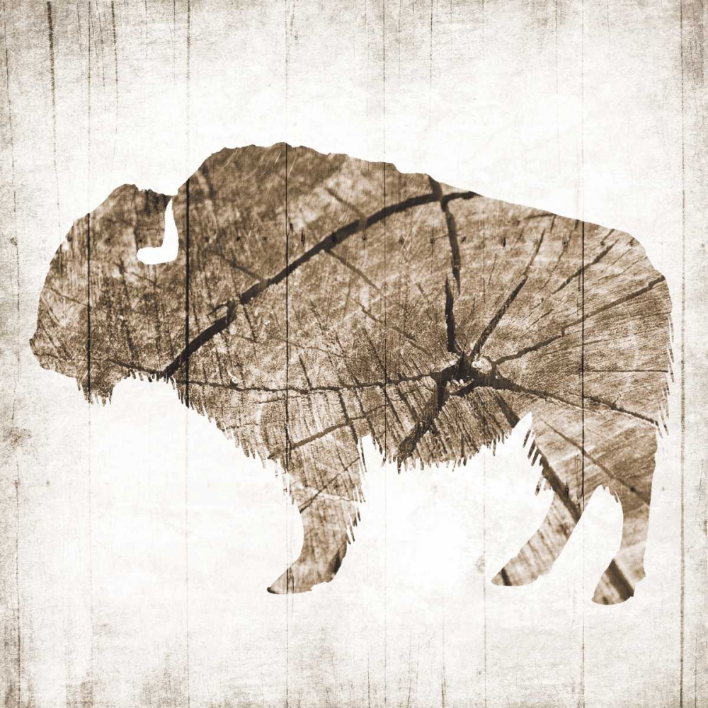 Buffalo Rings art print by Jace Grey for $57.95 CAD
