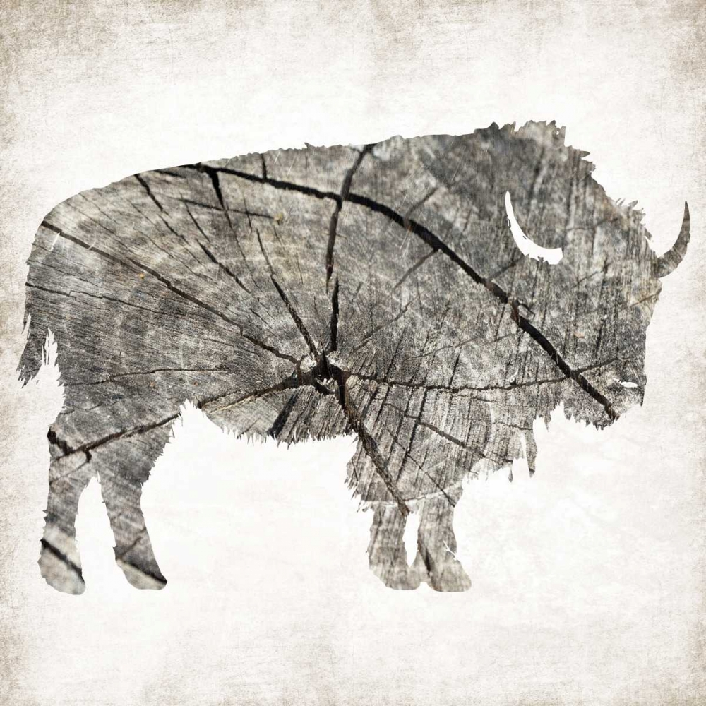 Buffalo Rings Mineral art print by Jace Grey for $57.95 CAD