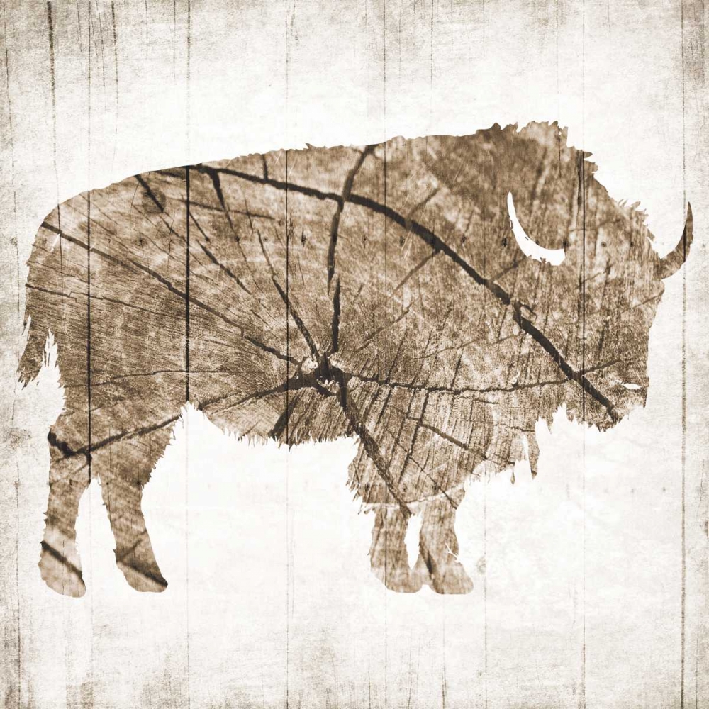 Buffalo Rings art print by Jace Grey for $57.95 CAD