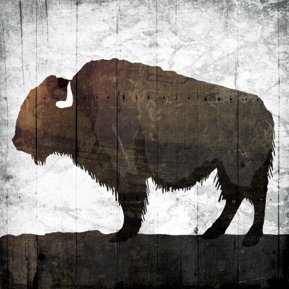 Aged Buffalo art print by Jace Grey for $57.95 CAD